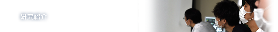 研究紹介